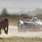 Formula E car races cheetah