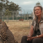 Interview: Ellie Beckhelling