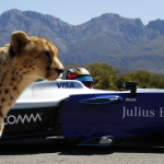 Formula E car races cheetah