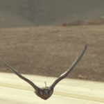 Social Media Edit - French (Square)