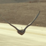 Social Media Edit - French (16:9)