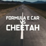 Formula E Car vs Cheetah