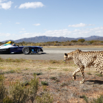 Formula E car races cheetah